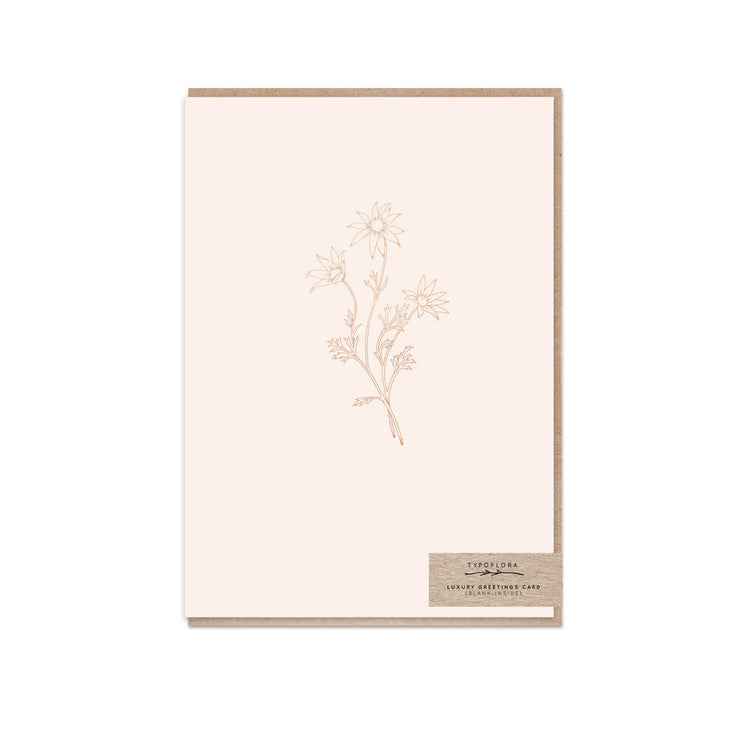 Cream Flannel Flower (Blank Inside) - Greeting Card